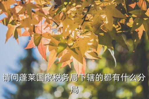 國稅局分局有什么，豐縣國稅局有幾個(gè)分局