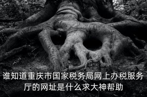 重慶稅務(wù)網(wǎng)站是什么，那個小型企業(yè)網(wǎng)上申報稅務(wù)的網(wǎng)站是多少啊發(fā)了一張流程表上