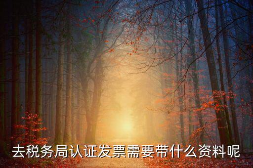發票認證都需要帶什么，去開票大廳認證發票需要帶什么資料