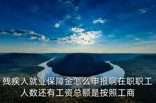 殘疾保證金什么申報，殘疾人就業保障金怎么申報啊在職職工人數還有工資總額是按照工商