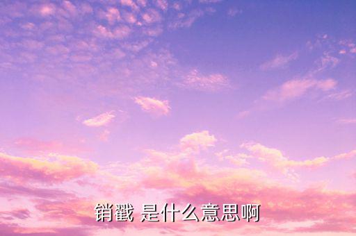 銷使是什么意思，業務銷使 意思