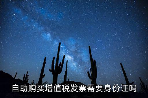 自助購買增值稅發票需要身份證嗎