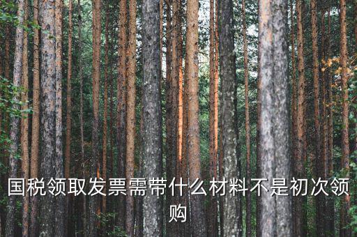 國稅領發票需要帶什么，去稅務局領發票需要帶什么資料去