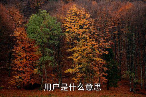 稅局用戶是什么意思，國稅局發票軟件里用戶代碼和密碼是什么