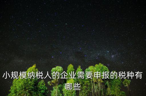 國稅小企業(yè)報什么稅，無錫 一般納稅人 小企業(yè)納稅人 國稅 地稅 分別要報哪些