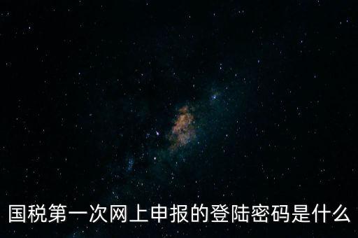國稅第一次網上申報的登陸密碼是什么