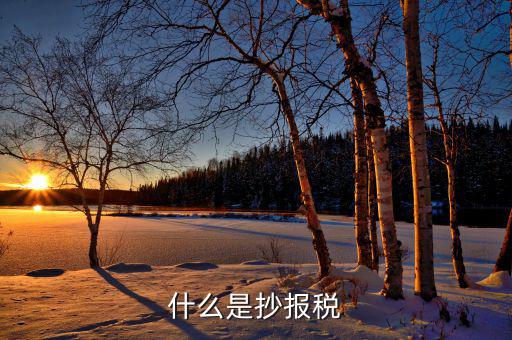 什么是抄稅報稅申報，抄稅和報稅是什么意思 應該怎么做呢