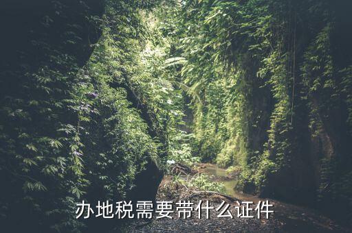 國稅地稅證件什么手續，辦理國稅地稅需要那些手續