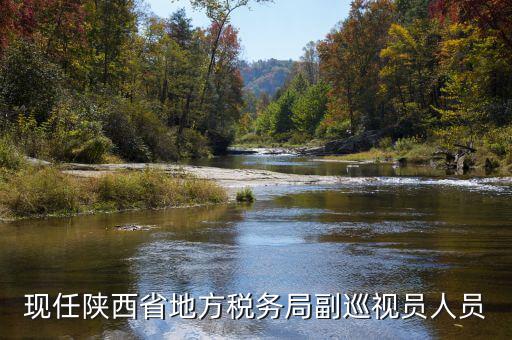 稅務(wù)局調(diào)研員是什么，一個(gè)縣區(qū)的稅務(wù)系統(tǒng)的局長(zhǎng)職位是調(diào)研員還是主任科員