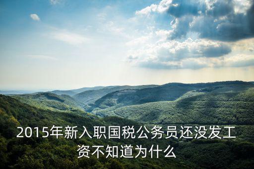 2015年新入職國稅公務員還沒發工資不知道為什么