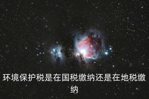 什么是環境保護稅納稅人，環境稅是什么意思