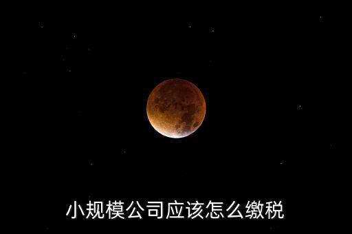 小規模公司按什么交稅嗎，一個小規模納稅公司國稅和地稅應該都分別交什么稅