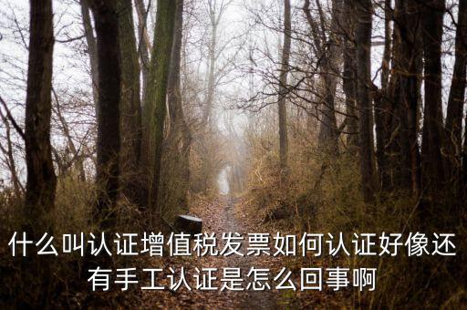 什么叫發票認證，什么叫認證增值稅發票如何認證好像還有手工認證是怎么回事啊