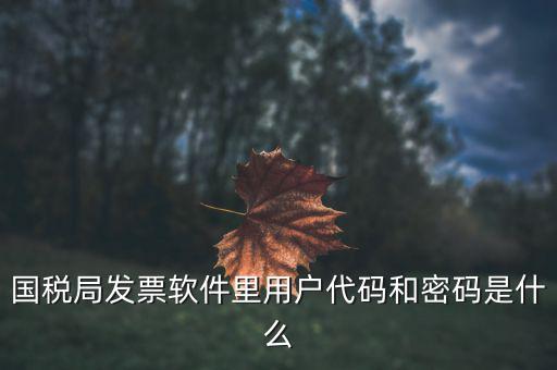 查詢(xún)發(fā)票要密碼是什么，國(guó)稅局發(fā)票軟件里用戶(hù)代碼和密碼是什么