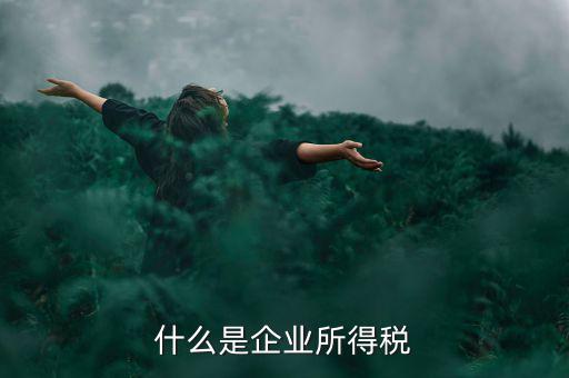 什么是企業所得稅率，什么是企業所得稅