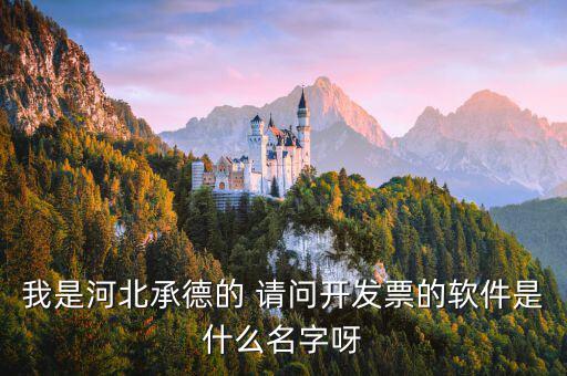 查發票的app叫什么名字嗎，尋找稅務軟件