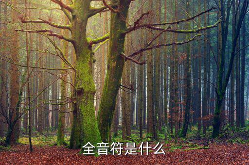 一戶式是什么，服裝SKU是指什么有什么實際應用意義