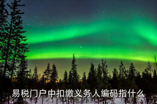 扣繳義務人識別碼是什么，易稅門戶中扣繳義務人編碼指什么