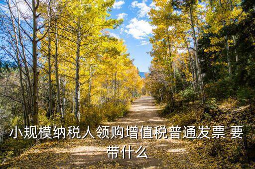 領增值稅普通發票需要什么資料，小規模納稅人領購增值稅普通發票 要帶什么