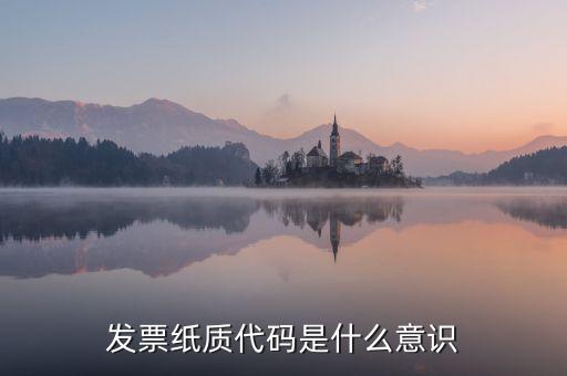 發票紙質代碼是什么意識