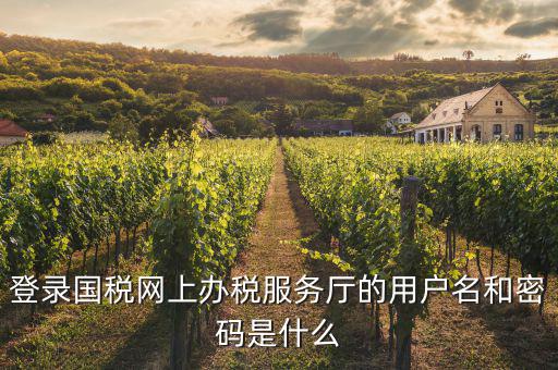 登錄國稅網上辦稅服務廳的用戶名和密碼是什么
