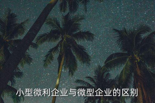 小型微利企業指的是什么，小型微利企業與微型企業的區別