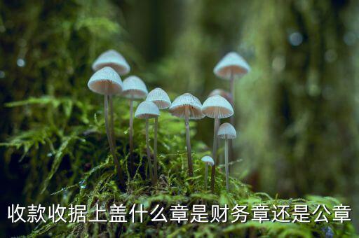 收款收據上蓋什么章是財務章還是公章