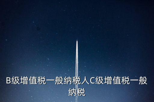 納稅用戶c級企業是什么意思，B級增值稅一般納稅人C級增值稅一般納稅
