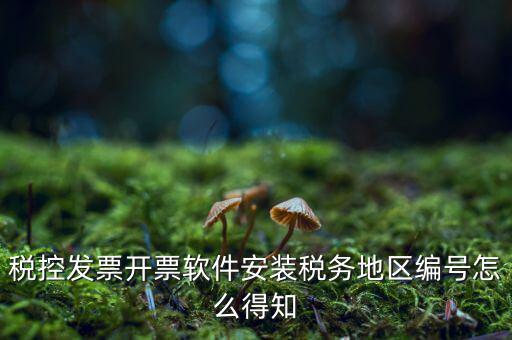 發票地區編號填什么，稅控發票開票軟件安裝稅務地區編號怎么得知