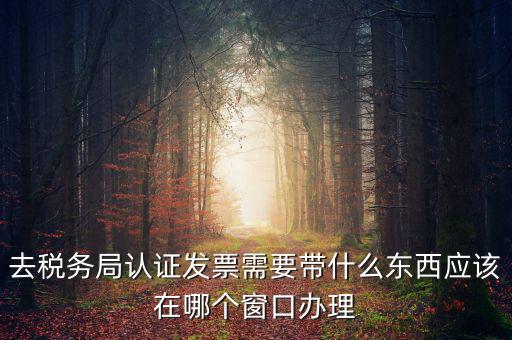 去稅務局認證發票需要帶什么東西應該在哪個窗口辦理
