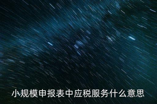 小規模申報表中應稅服務什么意思