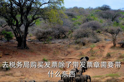 購發票需要什么資料，個人購物開增值稅普通發票需要什么資料