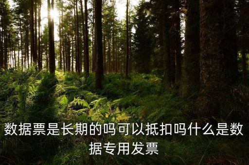 什么是增值稅數據票，數據發票是什么意思