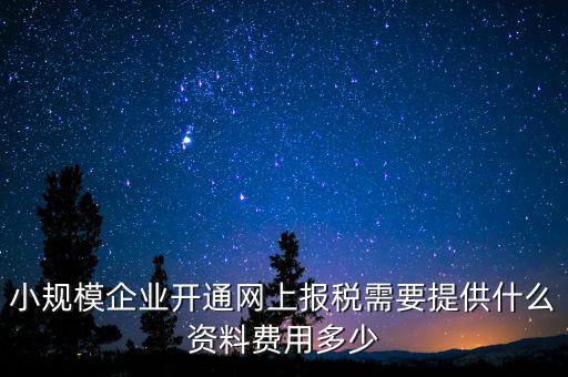 小規模企業開通網上報稅需要提供什么資料費用多少