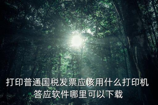 打國稅發票用什么軟件，打印普通國稅發票應該用什么打印機 答應軟件哪里可以下載