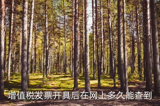 增值稅發票開具后在網上多久能查到
