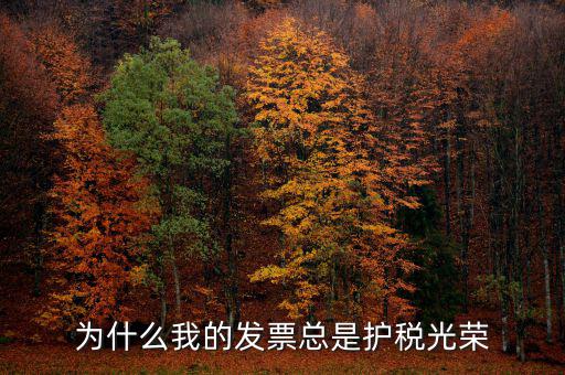 為什么我的發票總是護稅光榮