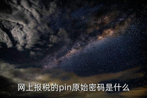 國稅什么叫pin碼，機構代碼的ca證書的PIN碼是什么我用CA證書登陸國稅時提示詳細