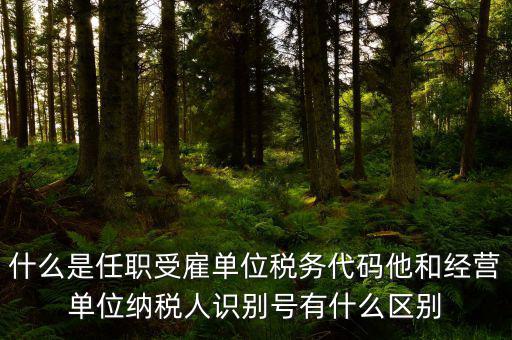 什么是任職受雇單位稅務代碼他和經營單位納稅人識別號有什么區別