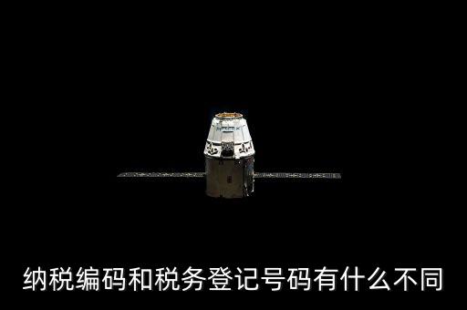 個人納稅編號是什么意思，納稅編碼和稅務登記號碼有什么不同