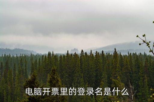 電子稅務局登錄賬號是什么意思，企業金稅盤系統用來開票抄稅報稅用那登錄國稅地稅局網站是干嘛的