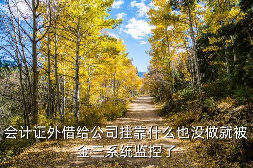金三系統有什么問題，會計證外借給公司掛靠什么也沒做就被金三系統監控了