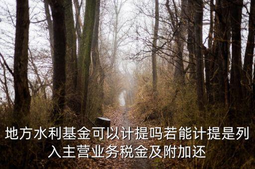 地方水利基金可以計提嗎若能計提是列入主營業務稅金及附加還