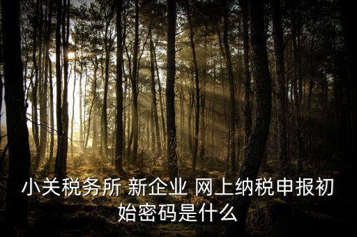 深圳國稅微信預約密碼是什么意思，小關稅務所 新企業 網上納稅申報初始密碼是什么