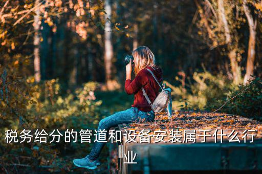 稅務給分的管道和設備安裝屬于什么行業