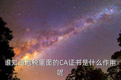 誰(shuí)知道地稅里面的CA證書是什么作用呢
