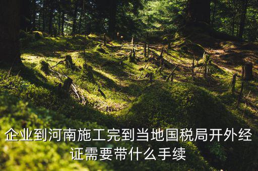 企業到河南施工完到當地國稅局開外經證需要帶什么手續