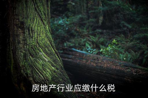 房地產企業要交什么稅，房地產行業應繳什么稅