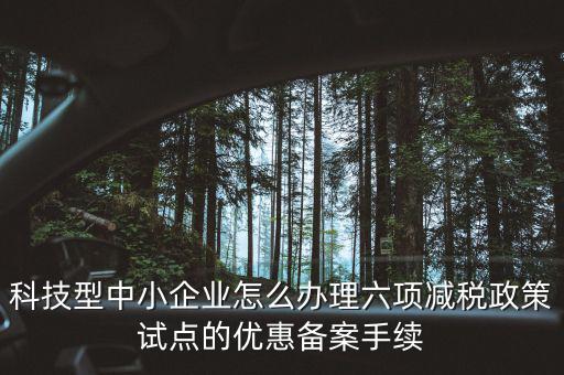 科技型中小企業怎么辦理六項減稅政策試點的優惠備案手續