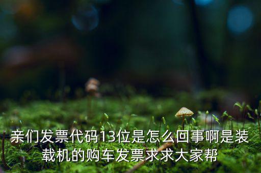 親們發票代碼13位是怎么回事啊是裝載機的購車發票求求大家幫